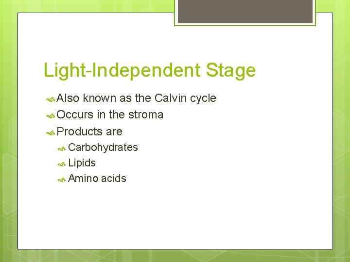 Light-Independent Stage Also known as the Calvin cycle Occurs in the stroma Products are