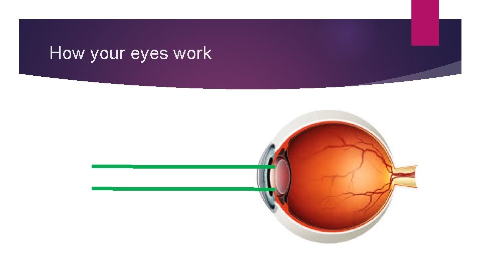 How your eyes work 