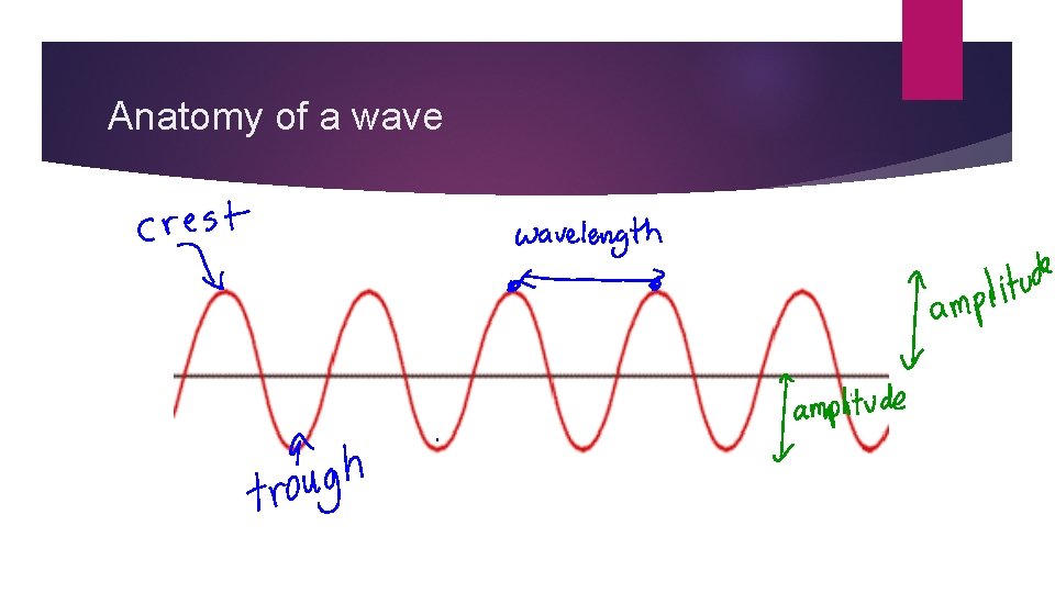 Anatomy of a wave 