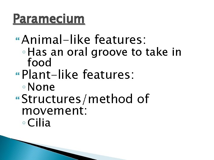 Paramecium Animal-like features: ◦ Has an oral groove to take in food Plant-like ◦