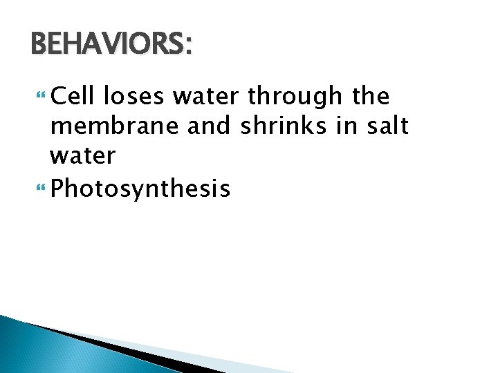 BEHAVIORS: Cell loses water through the membrane and shrinks in salt water Photosynthesis 