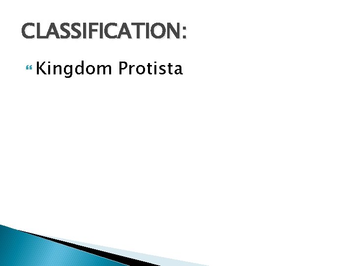 CLASSIFICATION: Kingdom Protista 