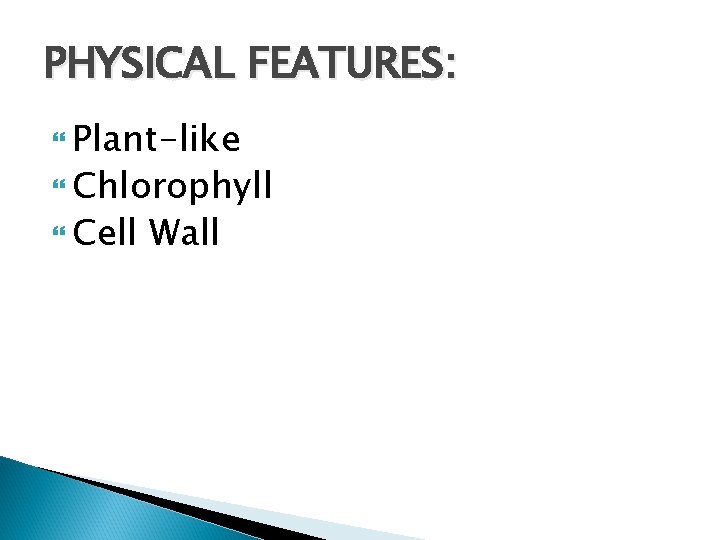 PHYSICAL FEATURES: Plant-like Chlorophyll Cell Wall 
