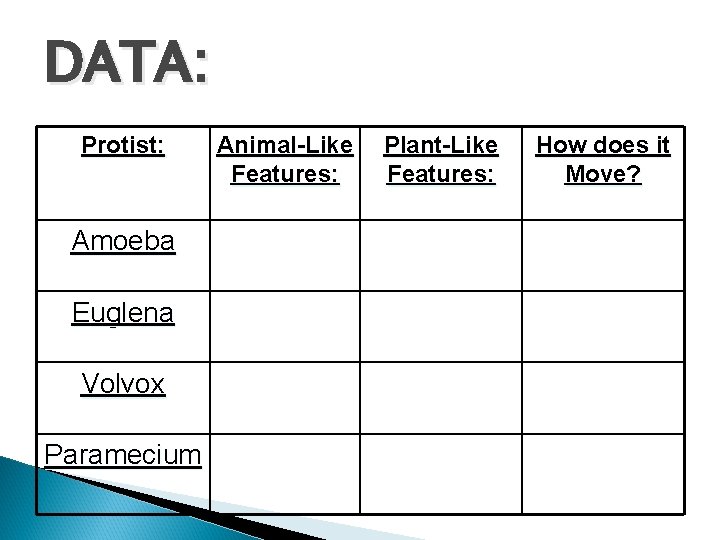 DATA: Protist: Amoeba Euglena Volvox Paramecium Animal-Like Features: Plant-Like Features: How does it Move?