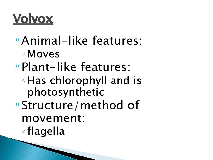 Volvox Animal-like ◦ Moves Plant-like features: ◦ Has chlorophyll and is photosynthetic Structure/method movement: