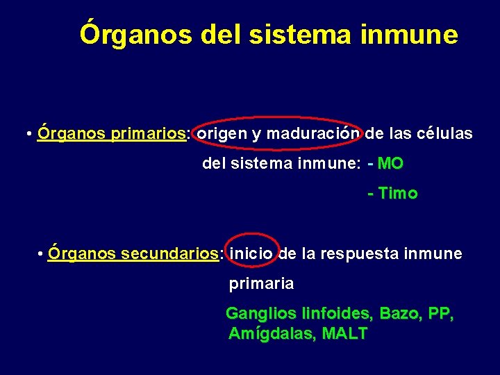 Órganos del sistema inmune • Órganos primarios: origen y maduración de las células del