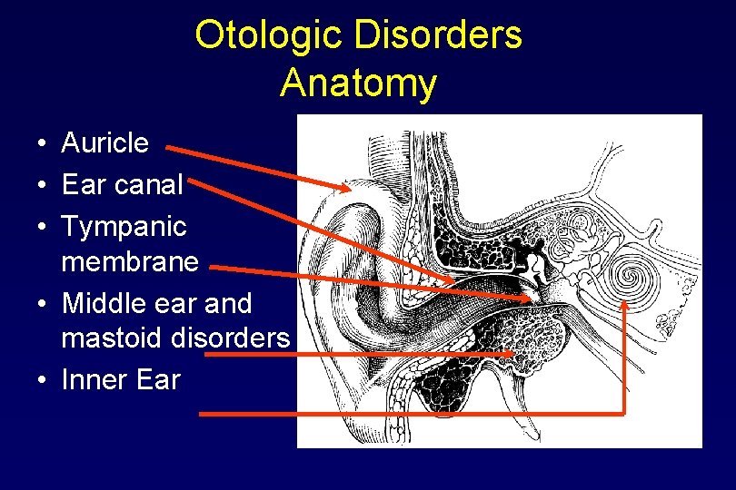 Otologic Disorders Anatomy • Auricle • Ear canal • Tympanic membrane • Middle ear
