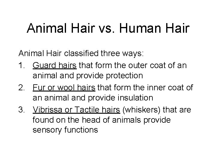 Animal Hair vs. Human Hair Animal Hair classified three ways: 1. Guard hairs that