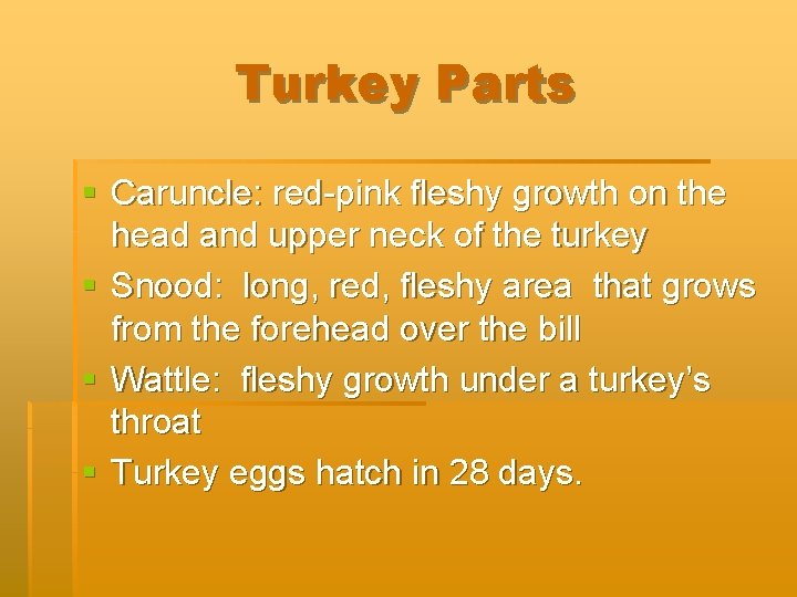 Turkey Parts § Caruncle: red-pink fleshy growth on the head and upper neck of