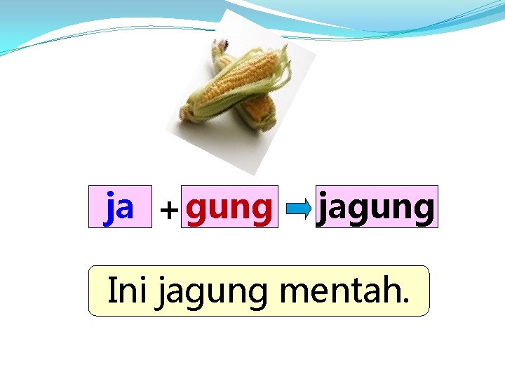 ja + gung jagung Ini jagung mentah. 