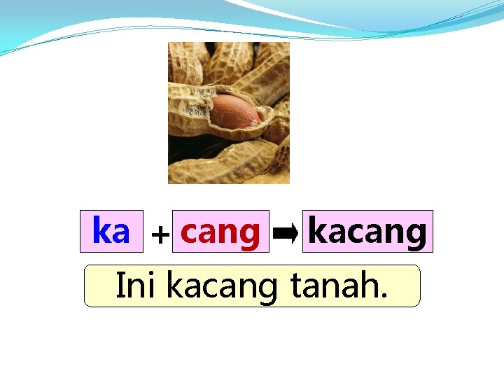 ka + cang kacang Ini kacang tanah. 