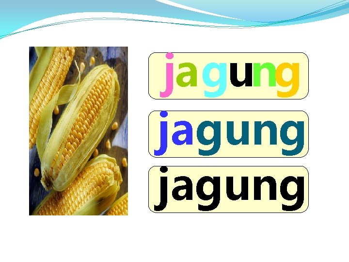 ja gung jagung 