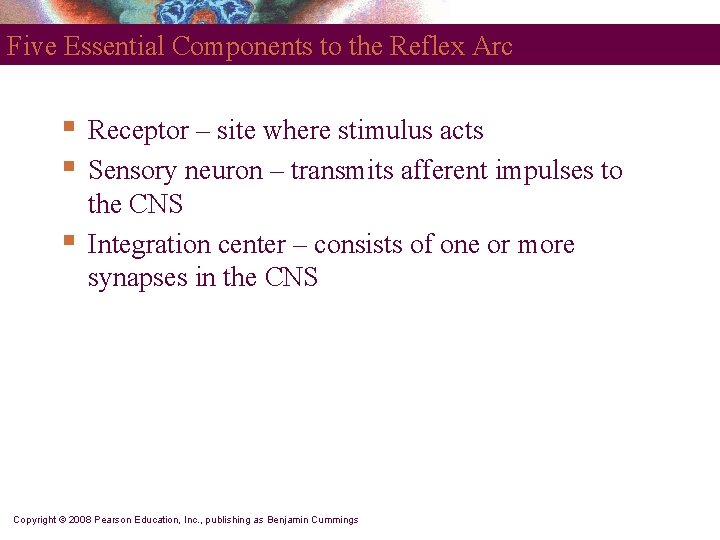 Five Essential Components to the Reflex Arc § § § Receptor – site where