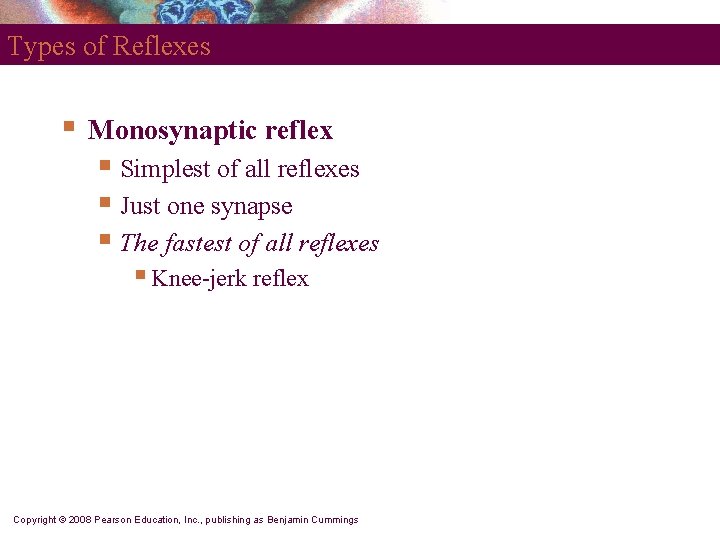 Types of Reflexes § Monosynaptic reflex § Simplest of all reflexes § Just one