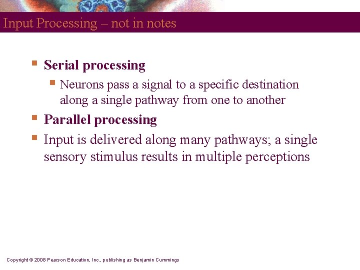Input Processing – not in notes § Serial processing § Neurons pass a signal