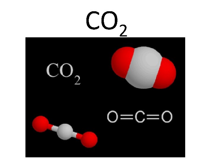 CO 2 