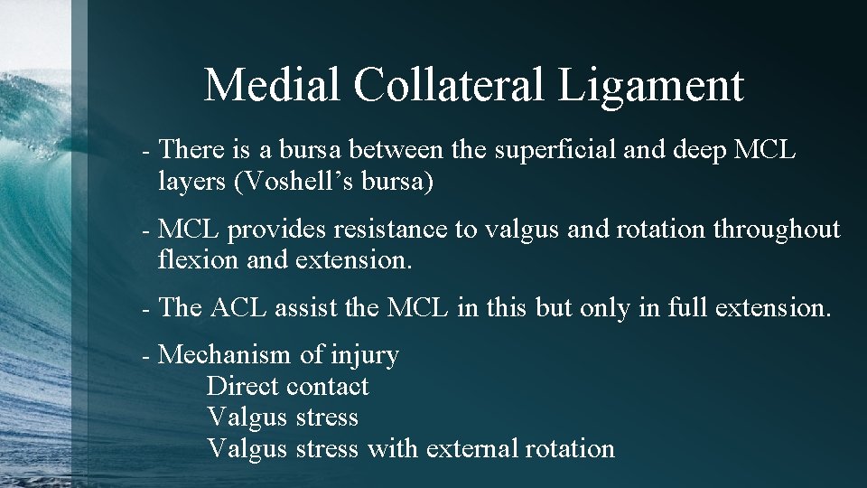 Medial Collateral Ligament - There is a bursa between the superficial and deep MCL