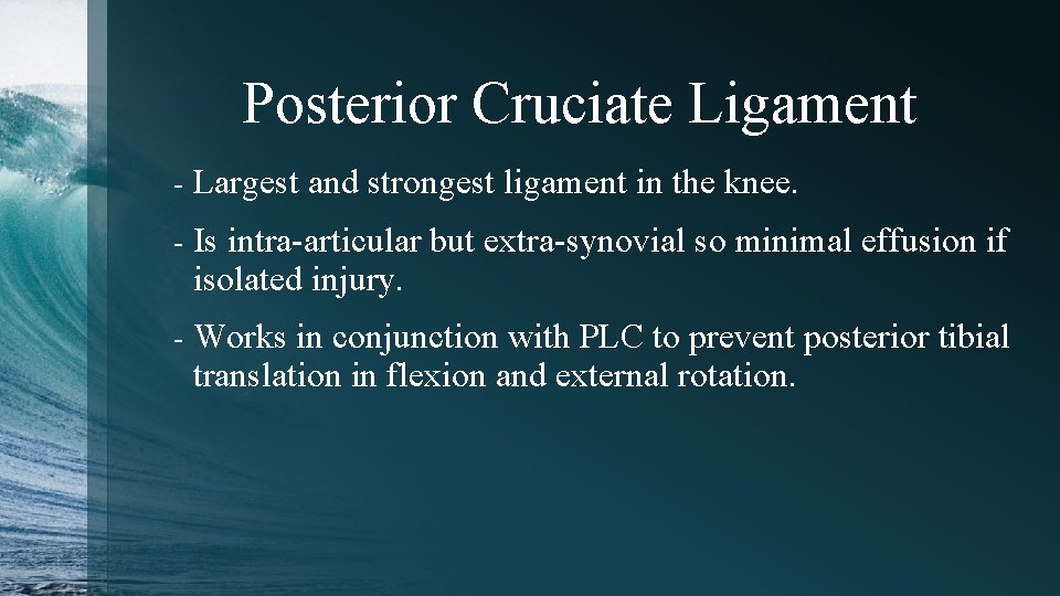 Posterior Cruciate Ligament - Largest and strongest ligament in the knee. - Is intra-articular