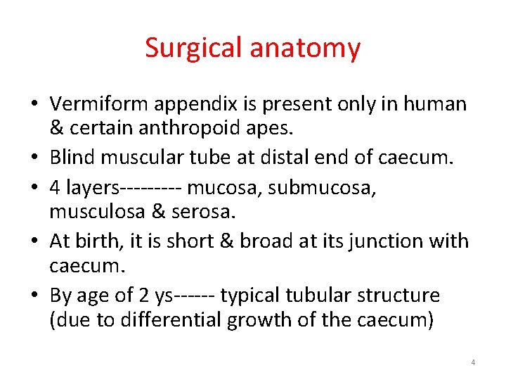 Surgical anatomy • Vermiform appendix is present only in human & certain anthropoid apes.