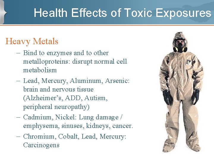 Health Effects of Toxic Exposures Heavy Metals – Bind to enzymes and to other