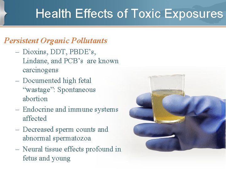 Health Effects of Toxic Exposures Persistent Organic Pollutants – Dioxins, DDT, PBDE’s, Lindane, and