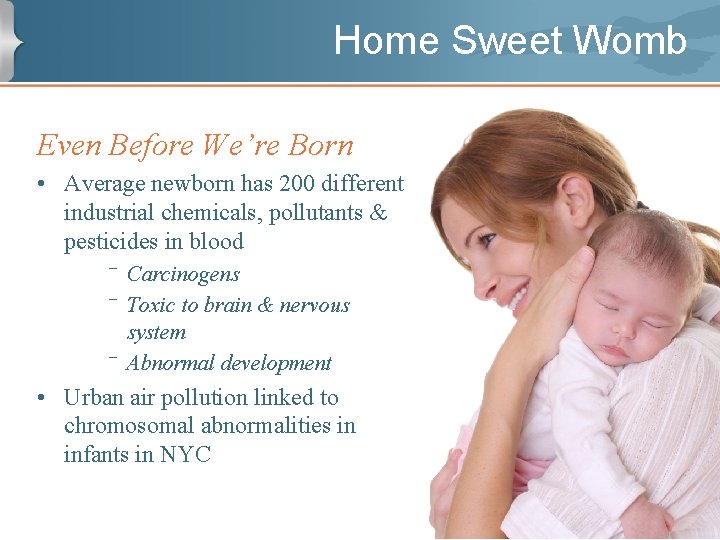 Home Sweet Womb Even Before We’re Born • Average newborn has 200 different industrial