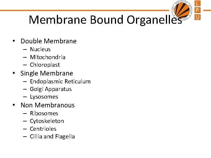 Membrane Bound Organelles • Double Membrane – Nucleus – Mitochondria – Chloroplast • Single