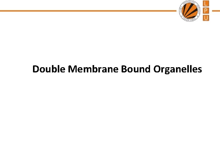 Double Membrane Bound Organelles 