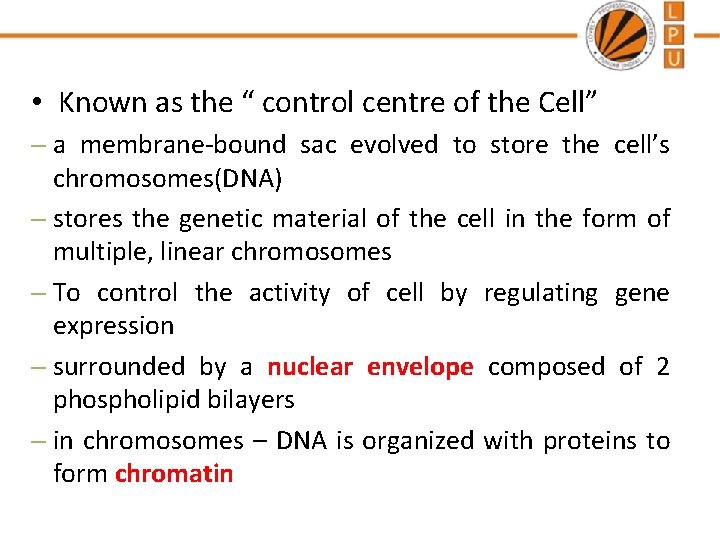  • Known as the “ control centre of the Cell” – a membrane-bound