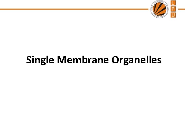 Single Membrane Organelles 