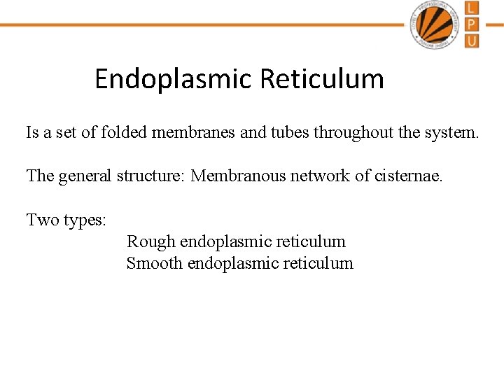 Endoplasmic Reticulum Is a set of folded membranes and tubes throughout the system. The