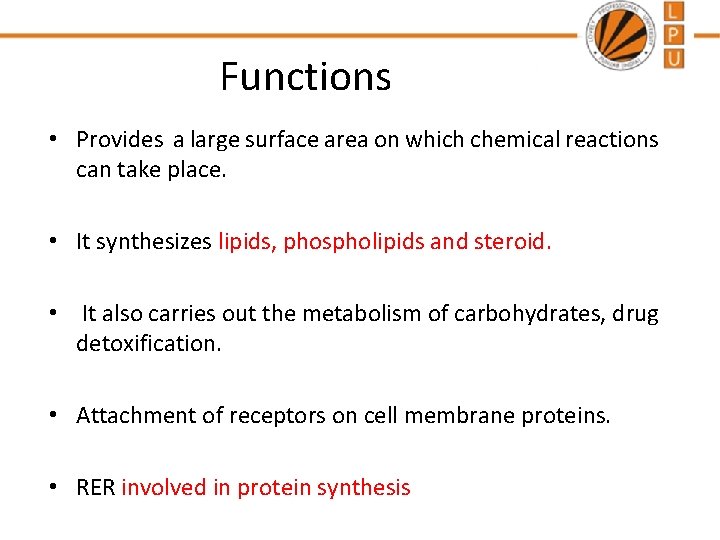 Functions • Provides a large surface area on which chemical reactions can take place.