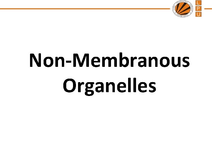 Non-Membranous Organelles 