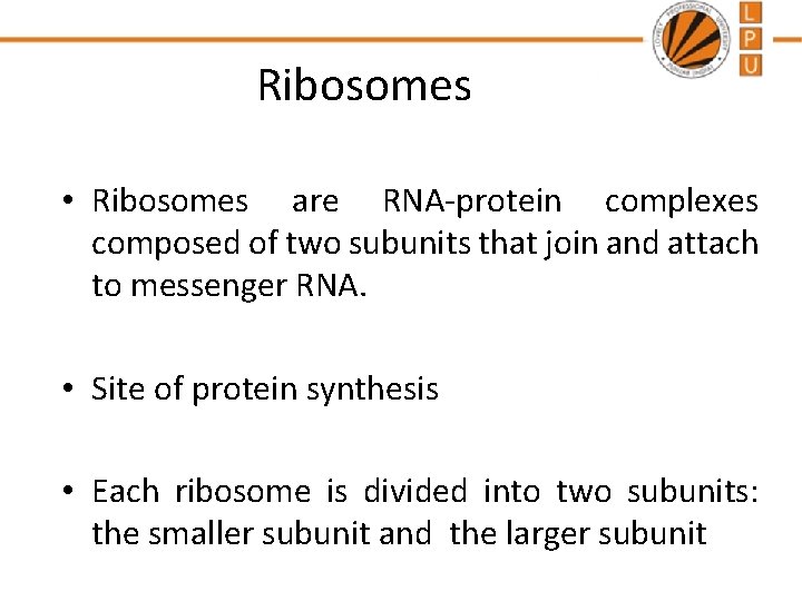 Ribosomes • Ribosomes are RNA-protein complexes composed of two subunits that join and attach