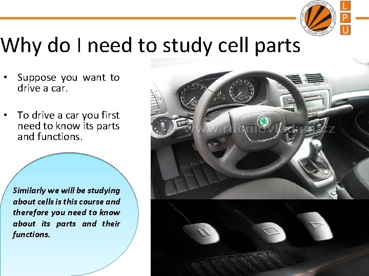 Why do I need to study cell parts • Suppose you want to drive