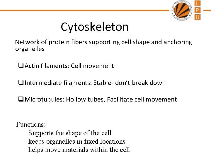 Cytoskeleton Network of protein fibers supporting cell shape and anchoring organelles q. Actin filaments:
