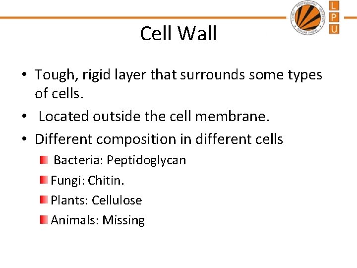 Cell Wall • Tough, rigid layer that surrounds some types of cells. • Located