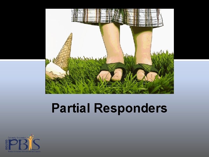 Partial Responders 