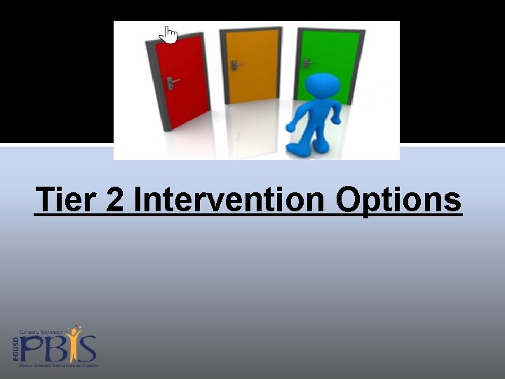 Tier 2 Intervention Options 