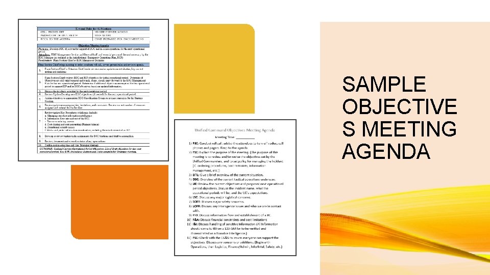 SAMPLE OBJECTIVE S MEETING AGENDA 