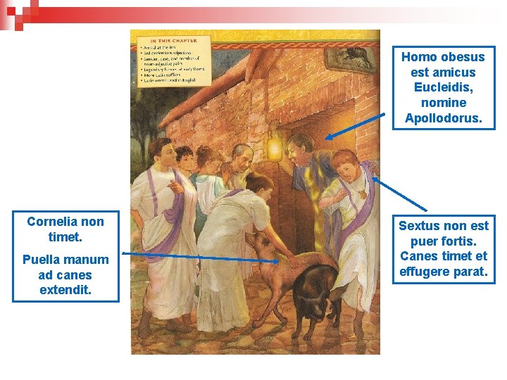 Homo obesus est amicus Eucleidis, nomine Apollodorus. Cornelia non timet. Puella manum ad canes