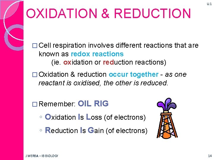 U. 1 OXIDATION & REDUCTION � Cell respiration involves different reactions that are known