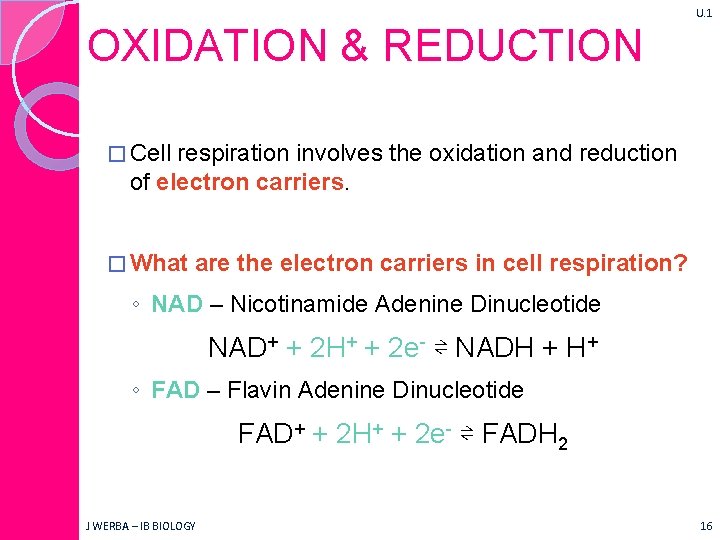 U. 1 OXIDATION & REDUCTION � Cell respiration involves the oxidation and reduction of