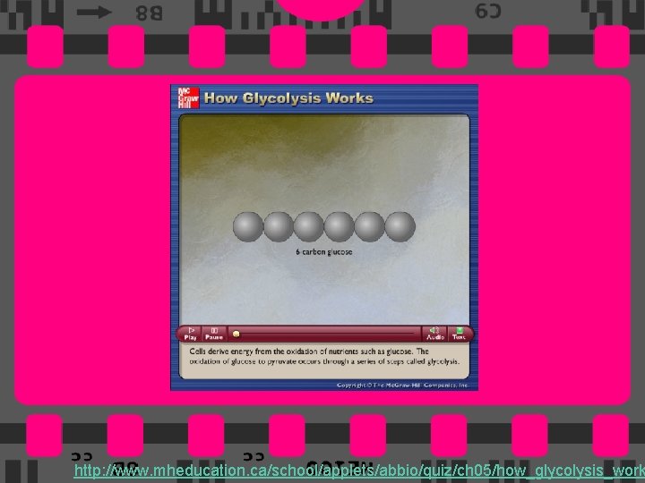 29 http: //www. mheducation. ca/school/applets/abbio/quiz/ch 05/how_glycolysis_work 
