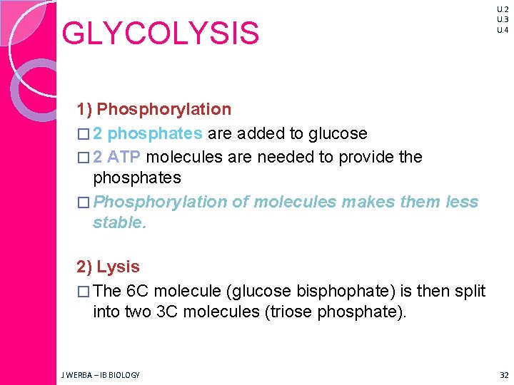 GLYCOLYSIS U. 2 U. 3 U. 4 1) Phosphorylation � 2 phosphates are added