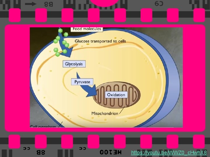 https: //youtu. be/WWZ 0_c. Hwh. X 845 