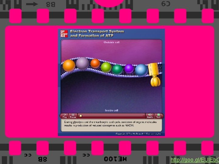 53 http: //goo. gl/EUl. Eb. O 