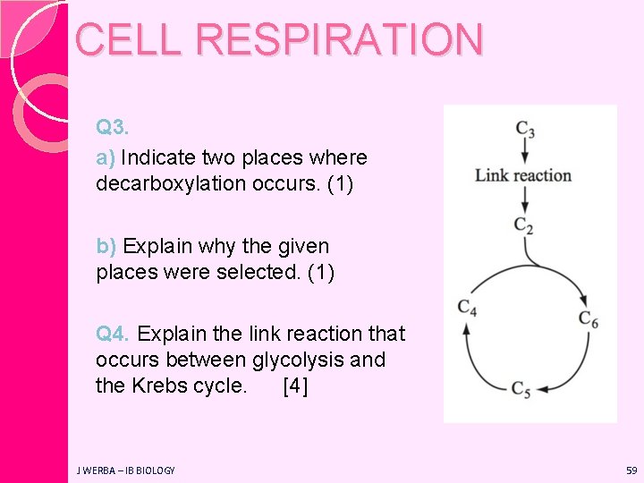 CELL RESPIRATION Q 3. a) Indicate two places where decarboxylation occurs. (1) b) Explain