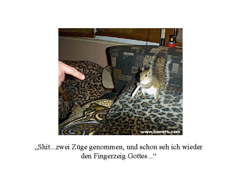 „Shit. . . zwei Züge genommen, und schon seh ich wieder den Fingerzeig Gottes.