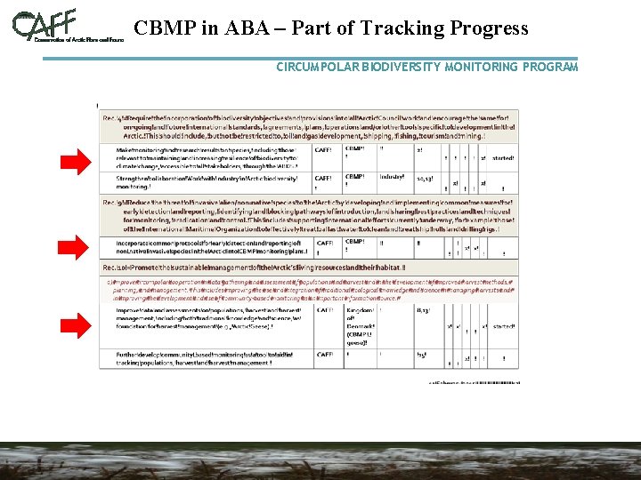 CBMP in ABA – Part of Tracking Progress CIRCUMPOLAR BIODIVERSITY MONITORING PROGRAM 